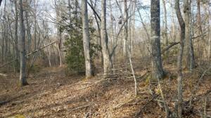 Lot 17 N Lake Tr