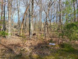 149 Trentwood Drive