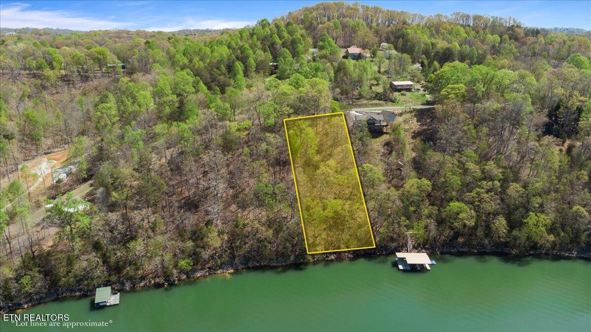 Image 3: 03-Hiwassee