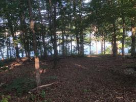 242 Chickasaw Lane 4