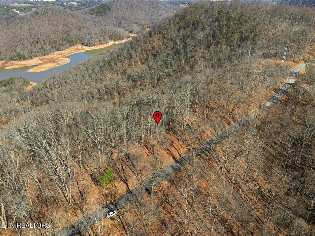 Image 2: 141 Chelaque Way - 2