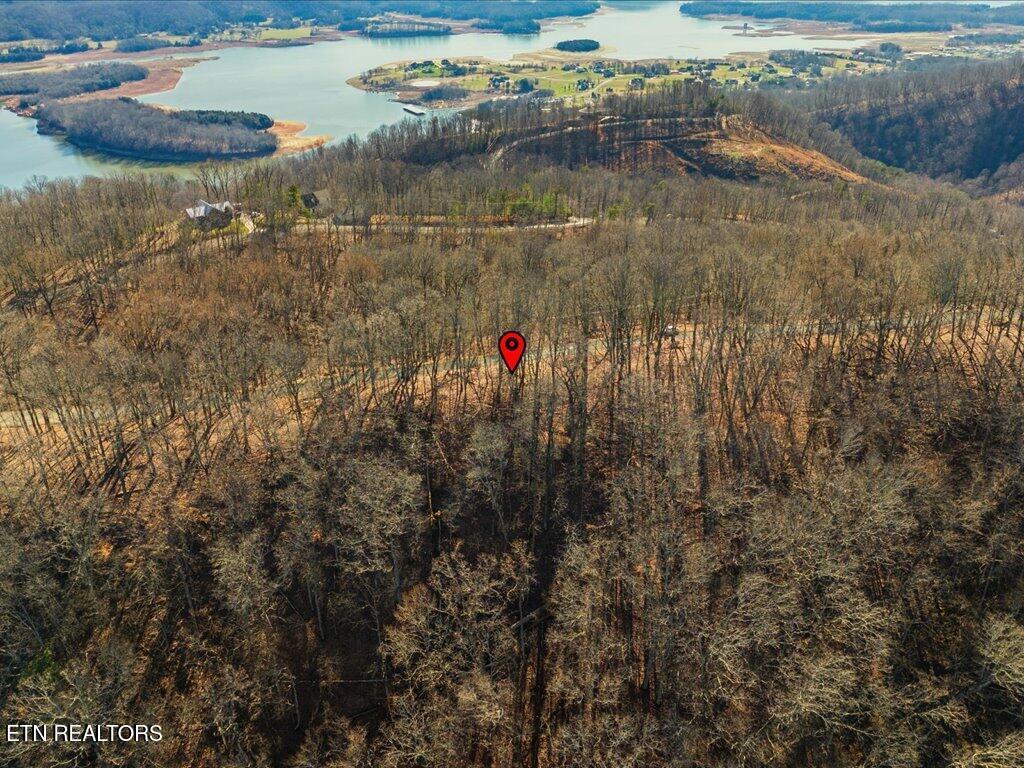 Image 3: 141 Chelaque Way - 3