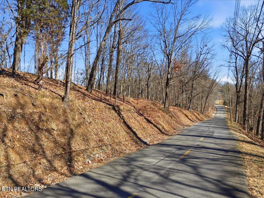 Image 4: 141 Chelaque Way - 5