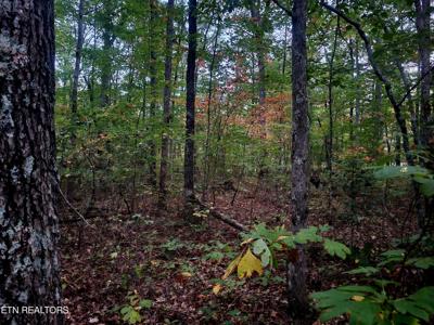 Lot 16 Willow Place