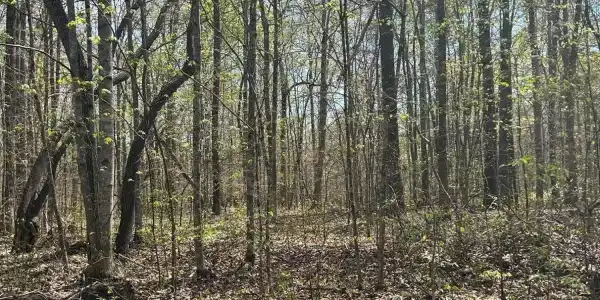 lot 9 Jones Ridge Rd