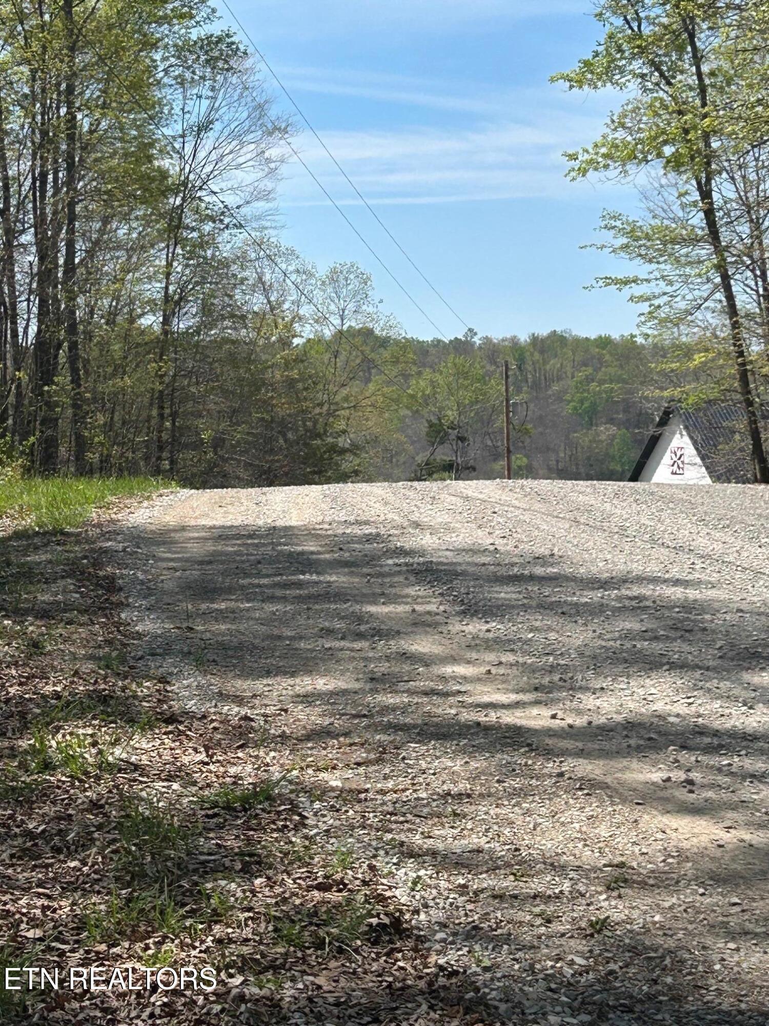 Image 4: IMG_1686 lot 9