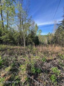 Pine Hollow Rd