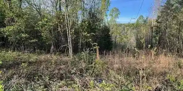 Pine Hollow Rd