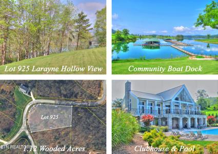 Lot 925 Larayne Hollow Rd