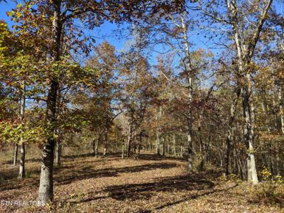 201 Old Ridge Rd