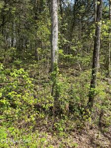 Tract 2 Bear Creek Rd