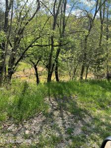 Tract 6 Bear Creek Rd