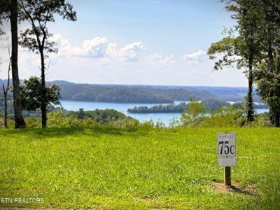 75C Swan Ridge