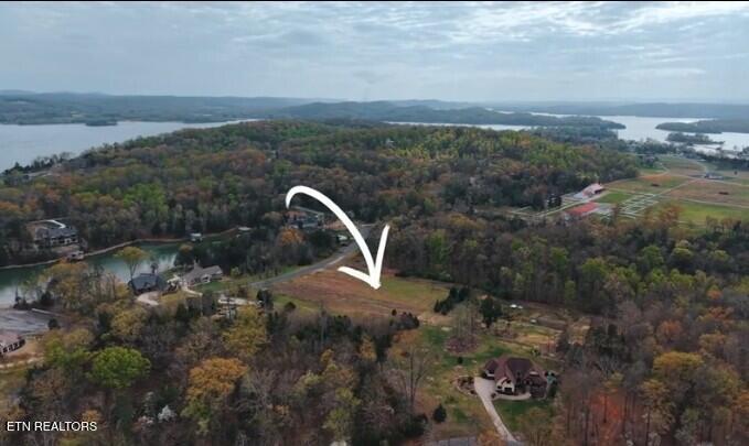 Image 3: Aerial View