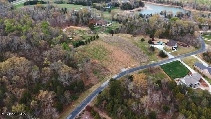 Image 4: Big 1.32 Acre lot