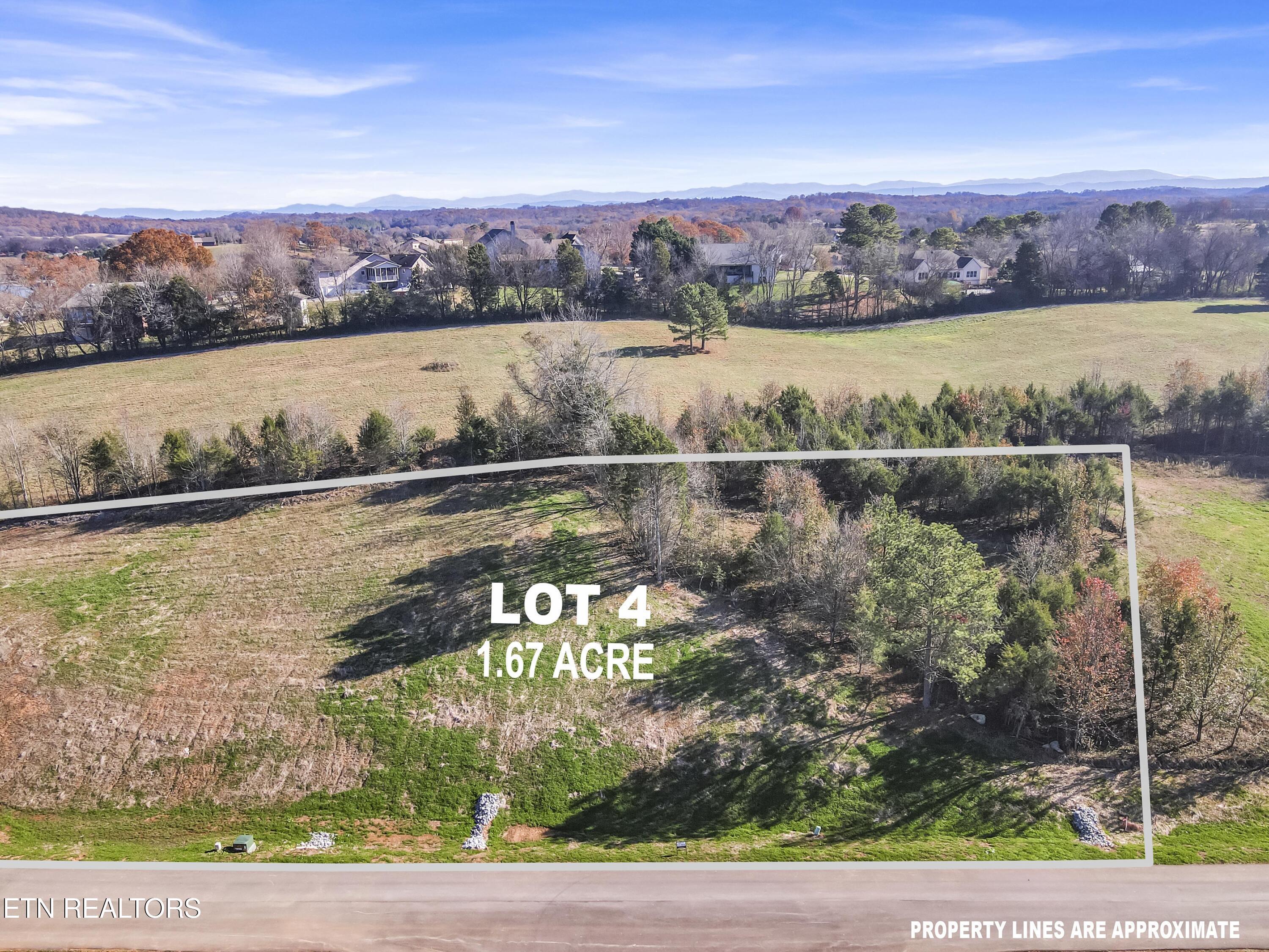 Image 4: Lot 4B