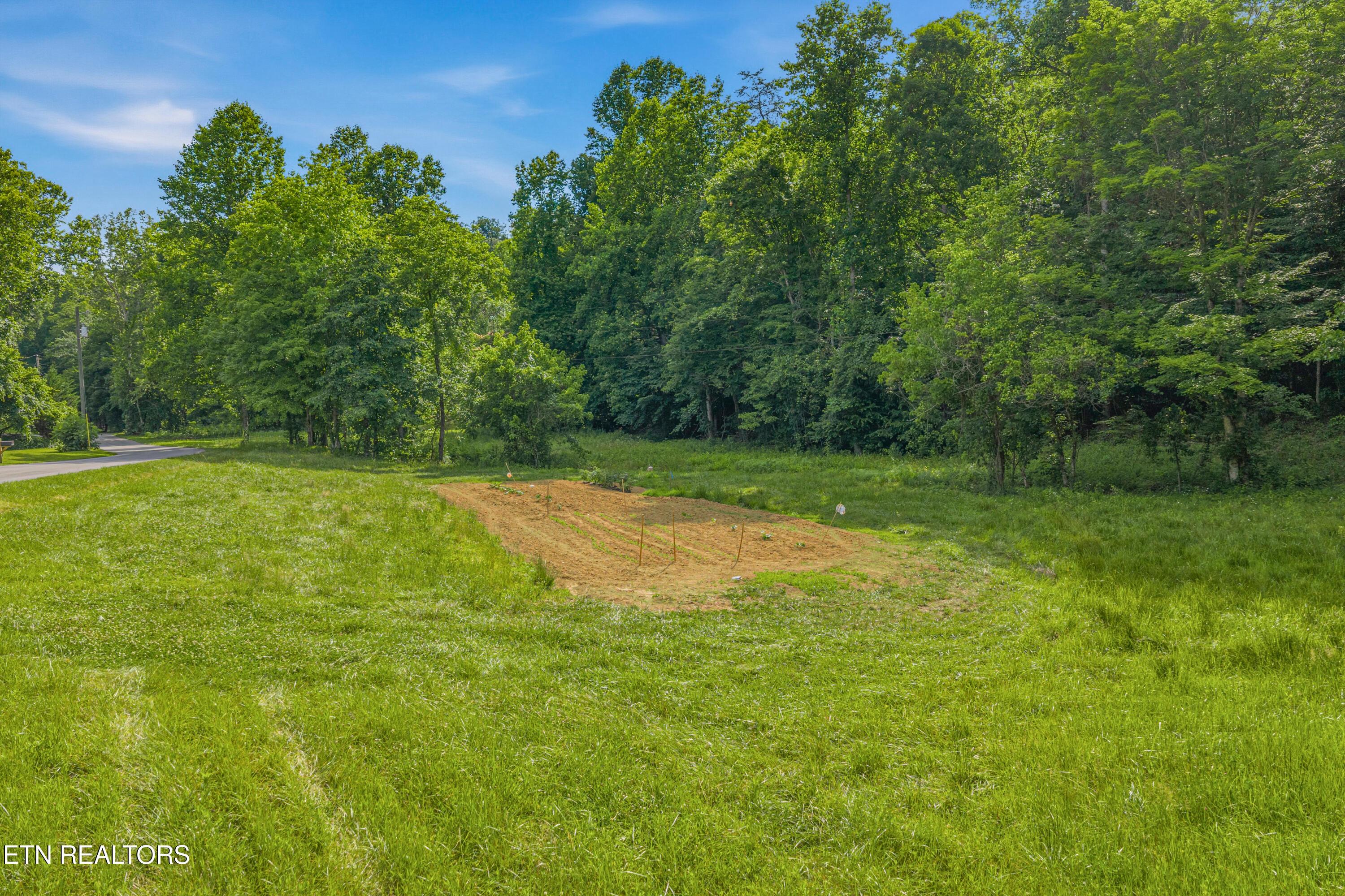 Image 3: 15-print-Dark Hollow Road-15