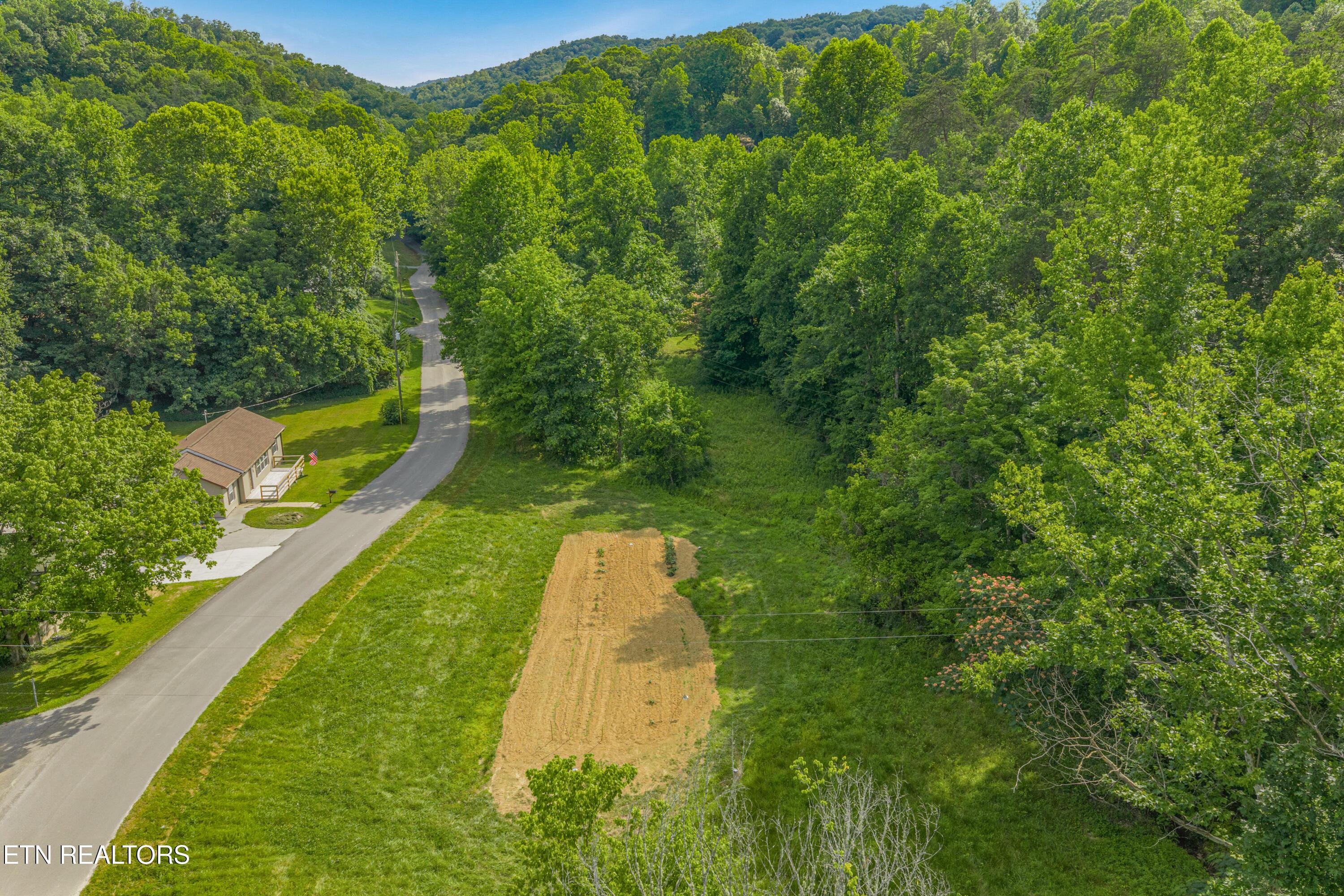 Image 4: 14-print-Dark Hollow Road-14