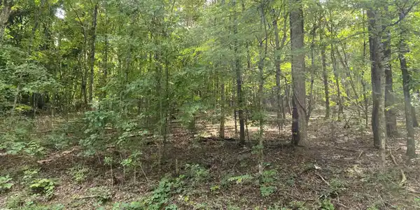 Lot P36 N Sequoyah Drive