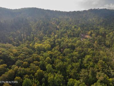Lot 48 Lake Ln