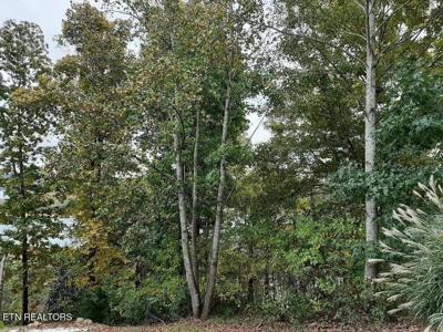 Lot 49 Norris Crest Drive