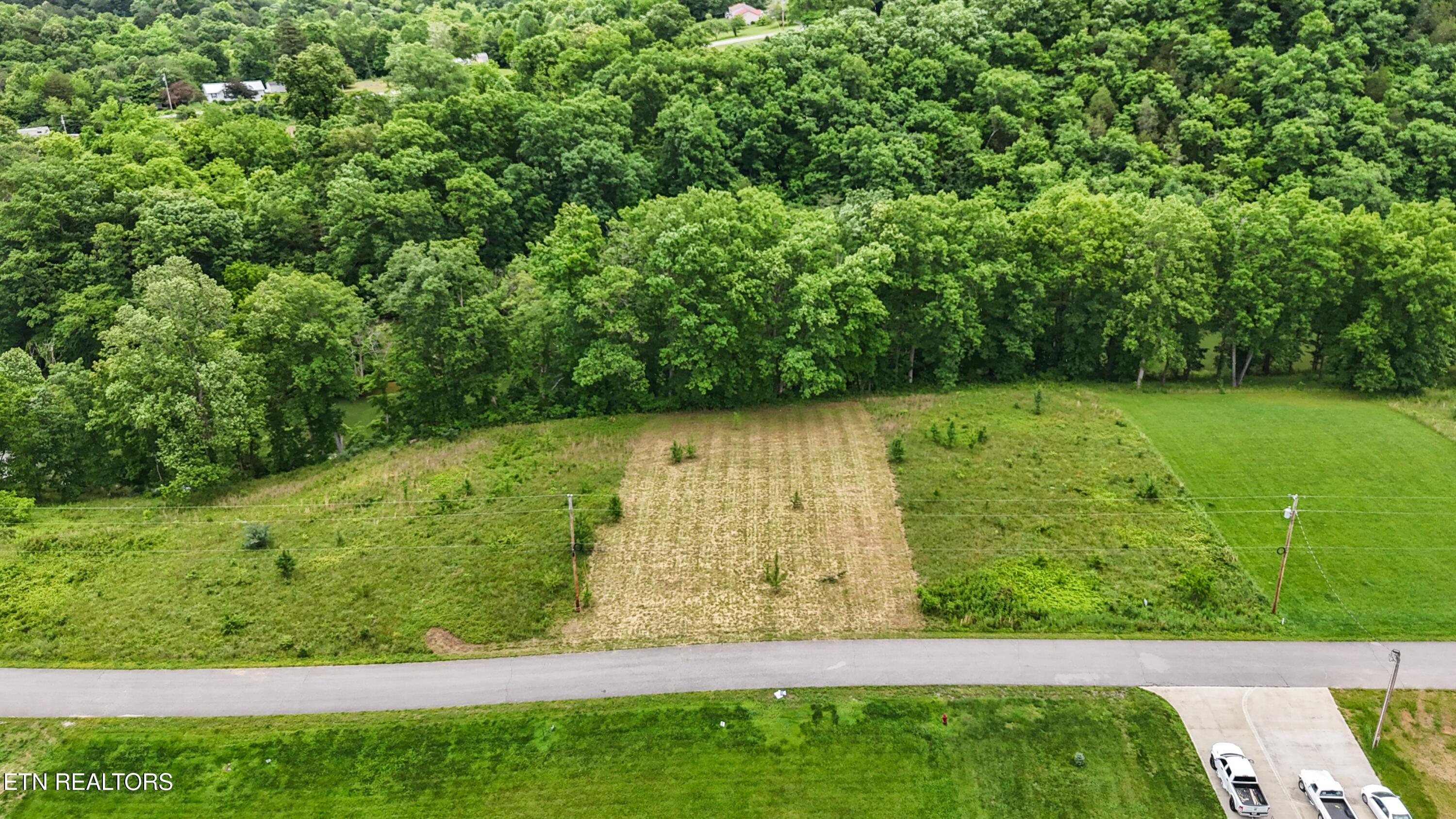 Image 2: Cleared Lot