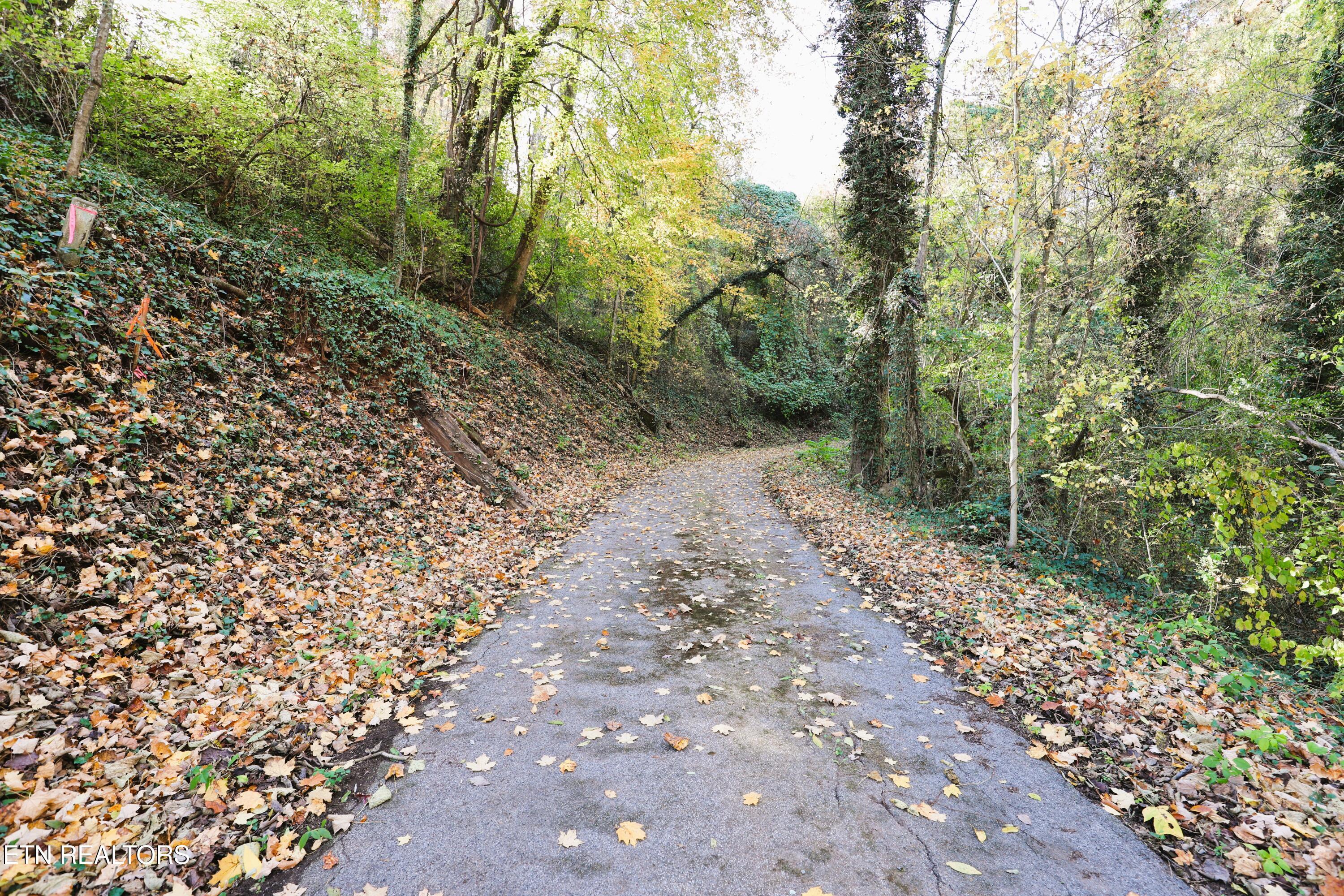 Image 2: Paved Driveway