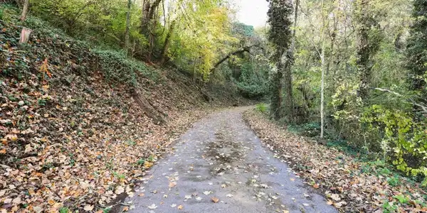 Image 2: Paved Driveway
