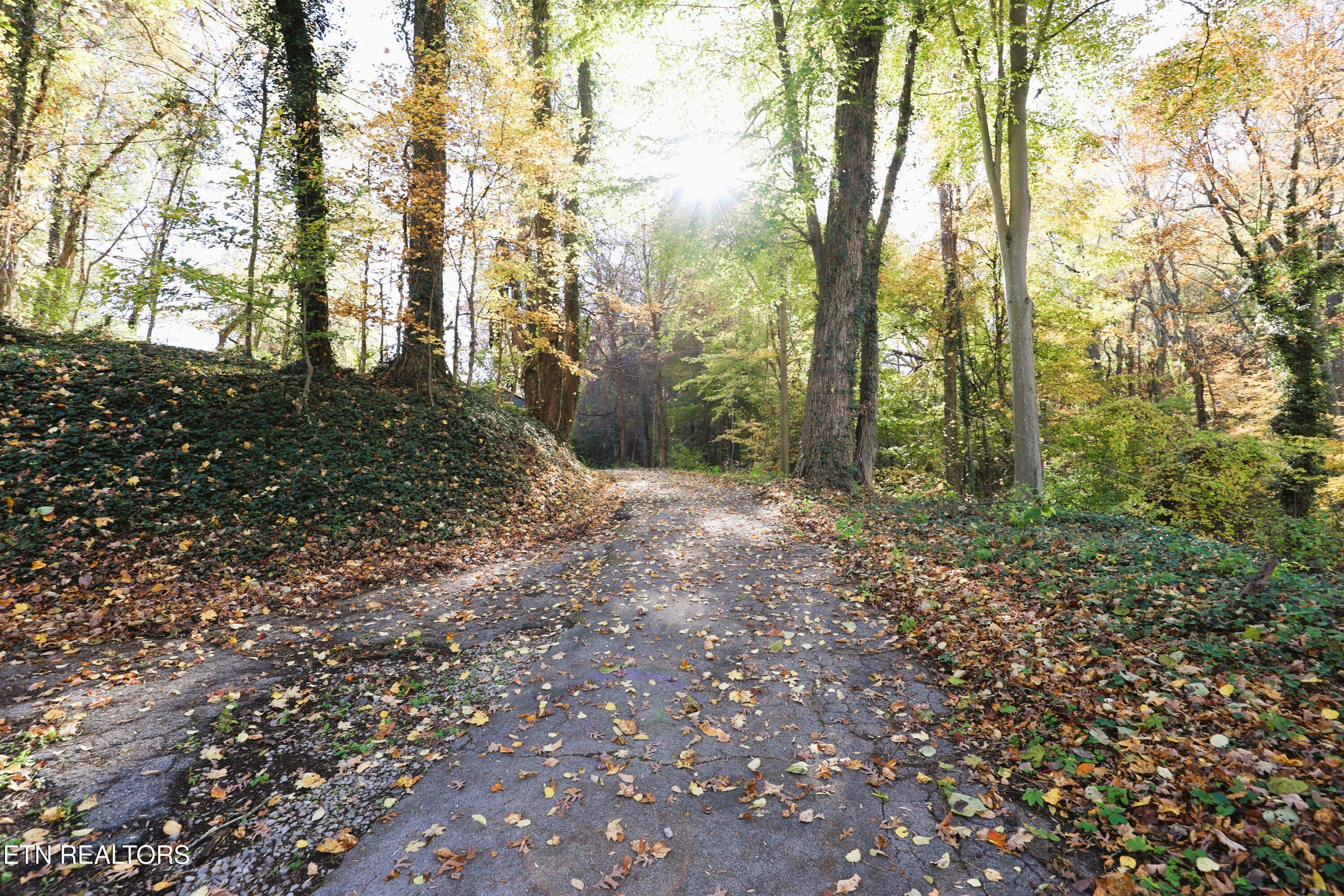 Image 3: Paved Driveway