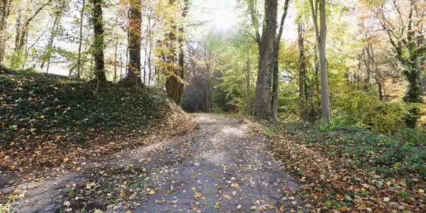 Image 3: Paved Driveway