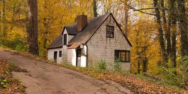Image 4: House 1