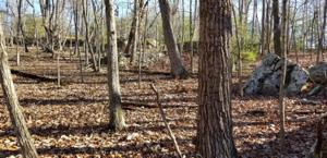 21 Clason Point