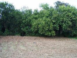 Lot 13 Block 1 Sequoyah Rd 13