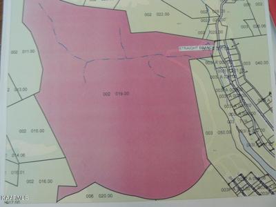 Lot 183.38 ACRES BRADEN CHAPEL Rd