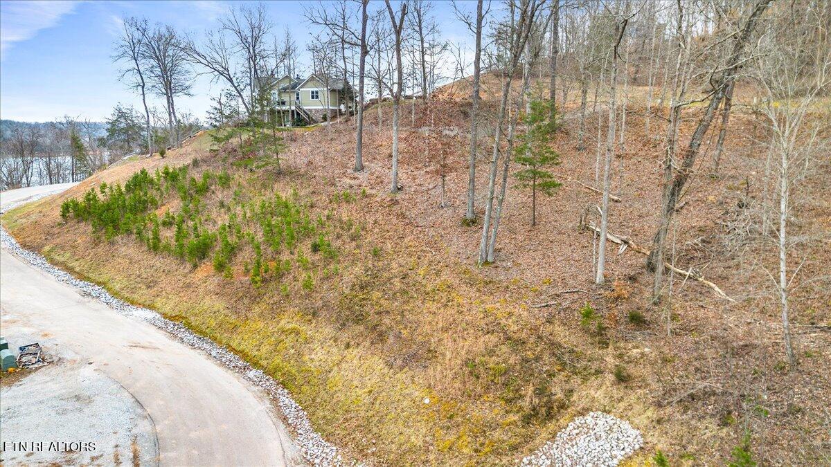 Image 4: Lakeview-Lot-Norris-Lake