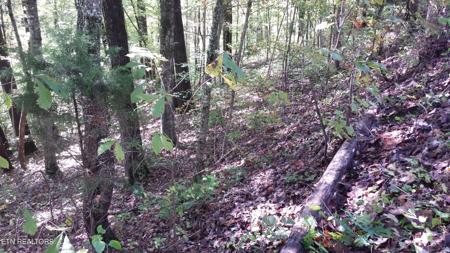 Lot 59 Hiwassee View Drive