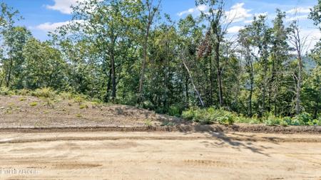Lot 101 Sommet Ridge East