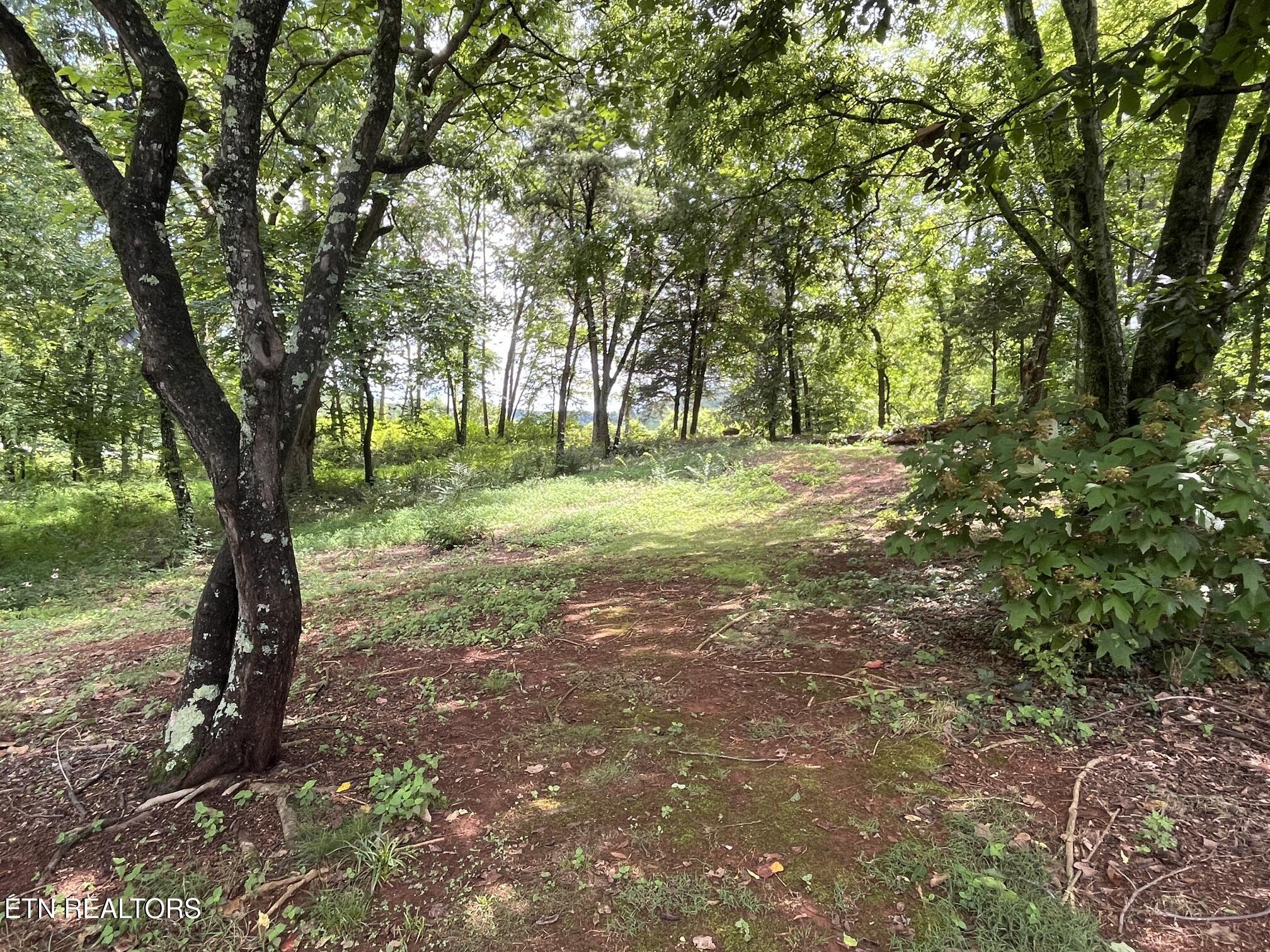 Image 2: 104 Brae court lot 7