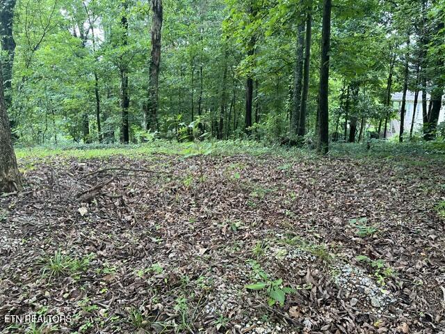 Image 4: 104 Brae Court Lot pic 2