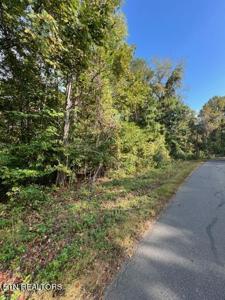 Lot 1015 Mountain View Lane