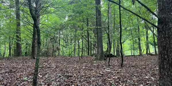 Blackberry Ridge Rd