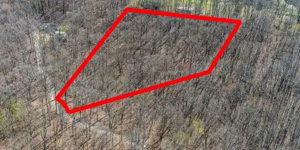 Image 3: FAWN REST 3