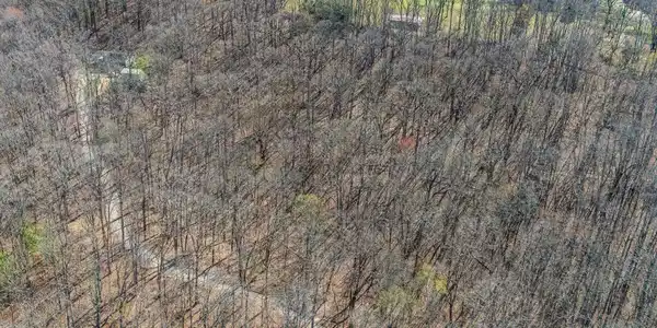 Image 4: FAWN REST 4