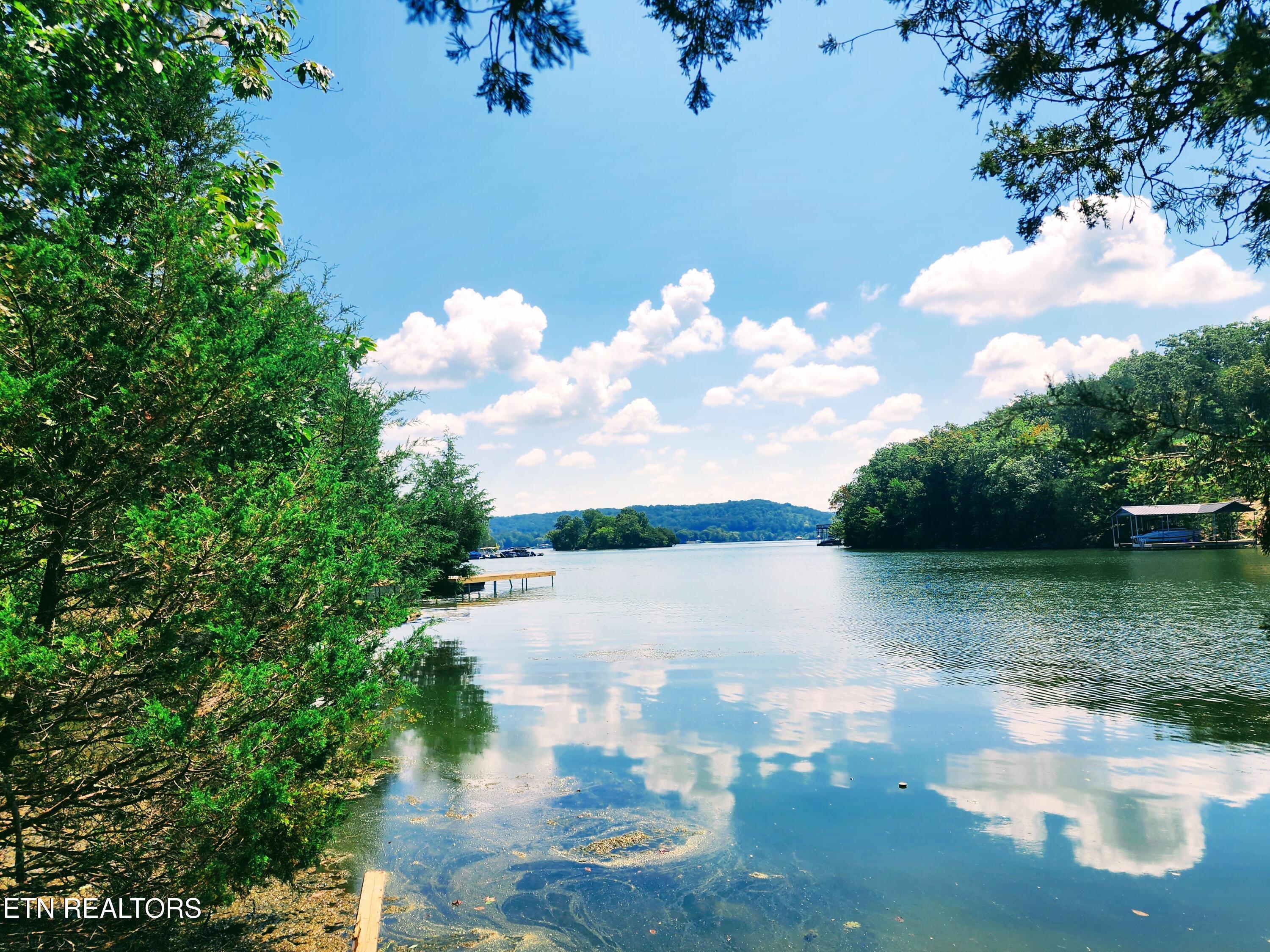 Image 2: Lake frontage