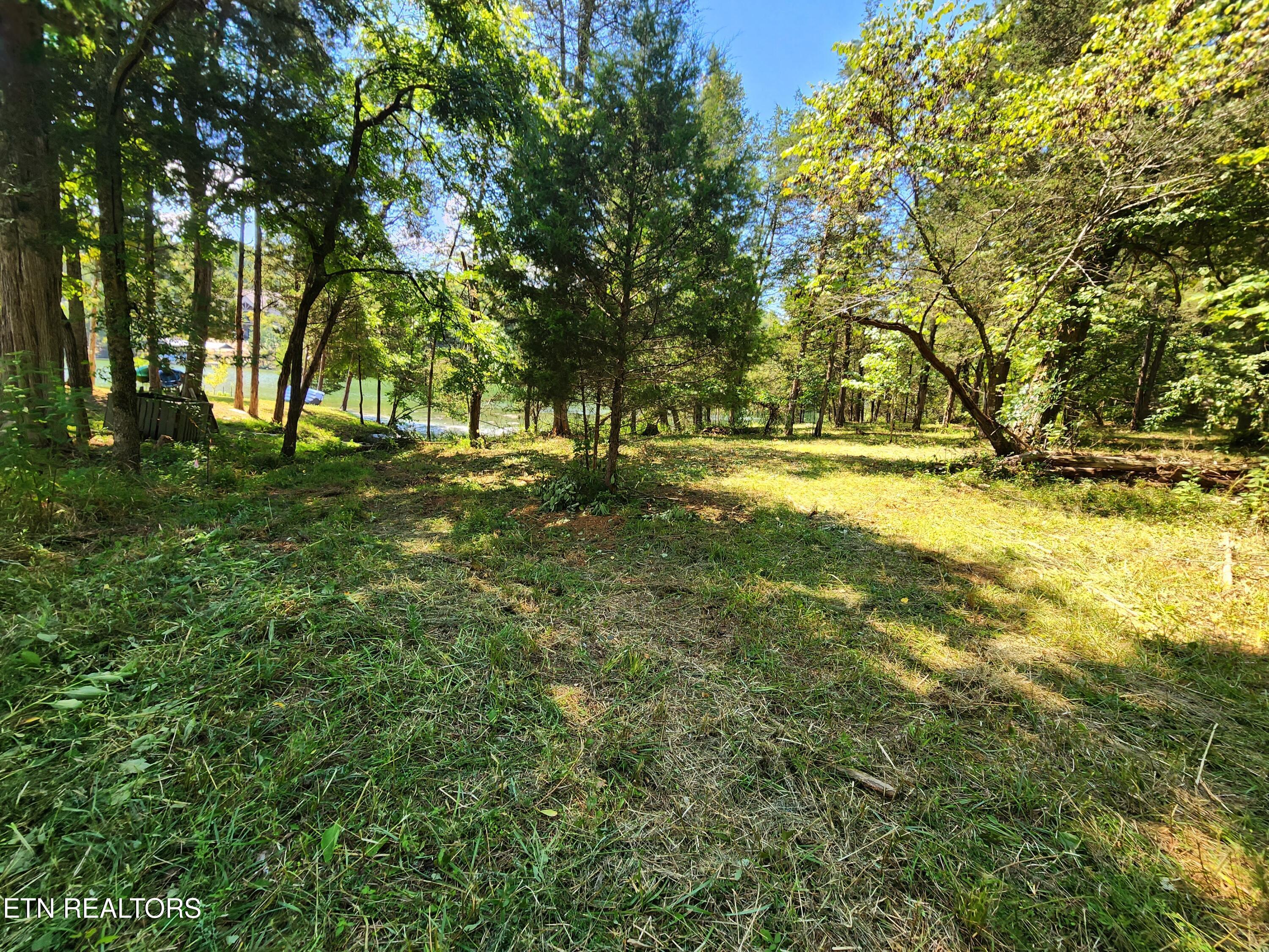 Image 4: Lot