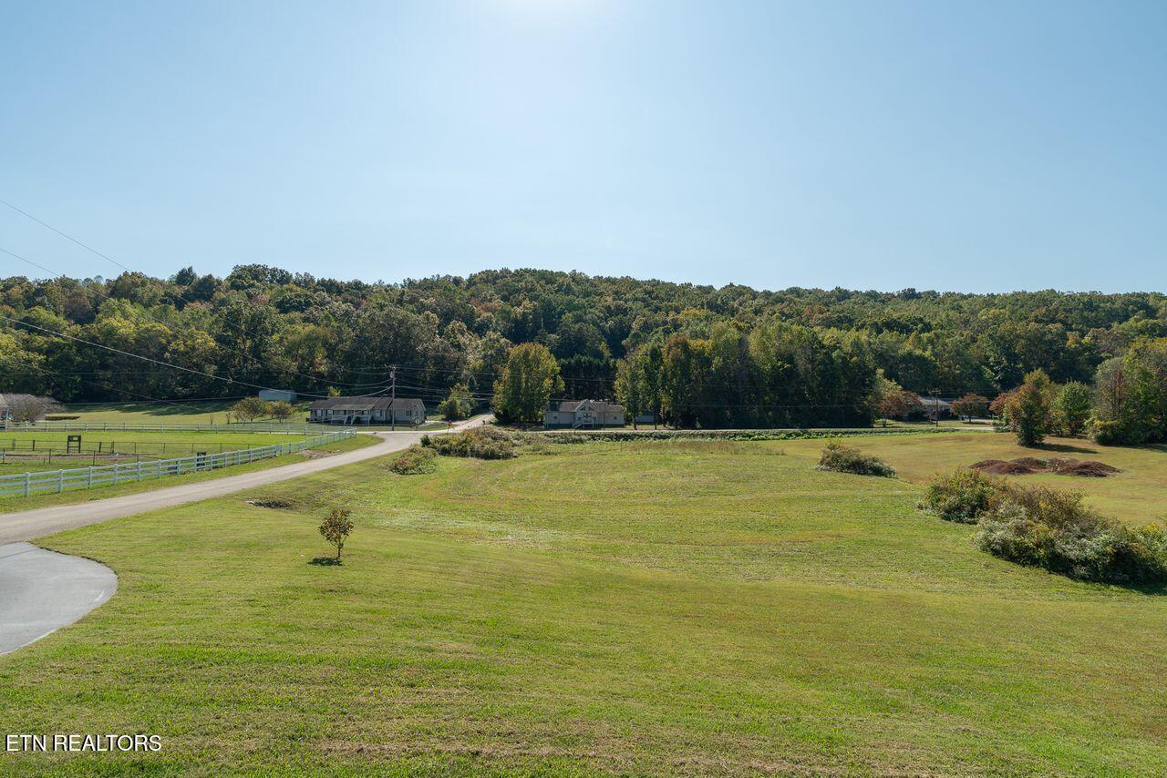 Image 4: Yard