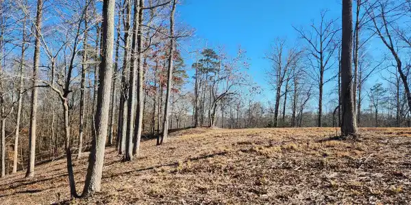 Lot 52 E Poplar Lane