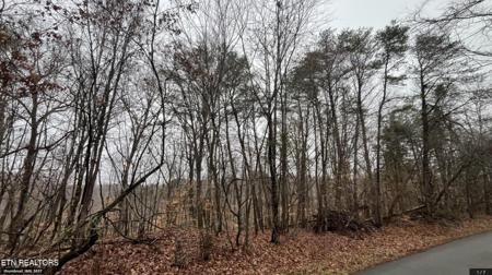 Mountain View Lane, Lot #1100