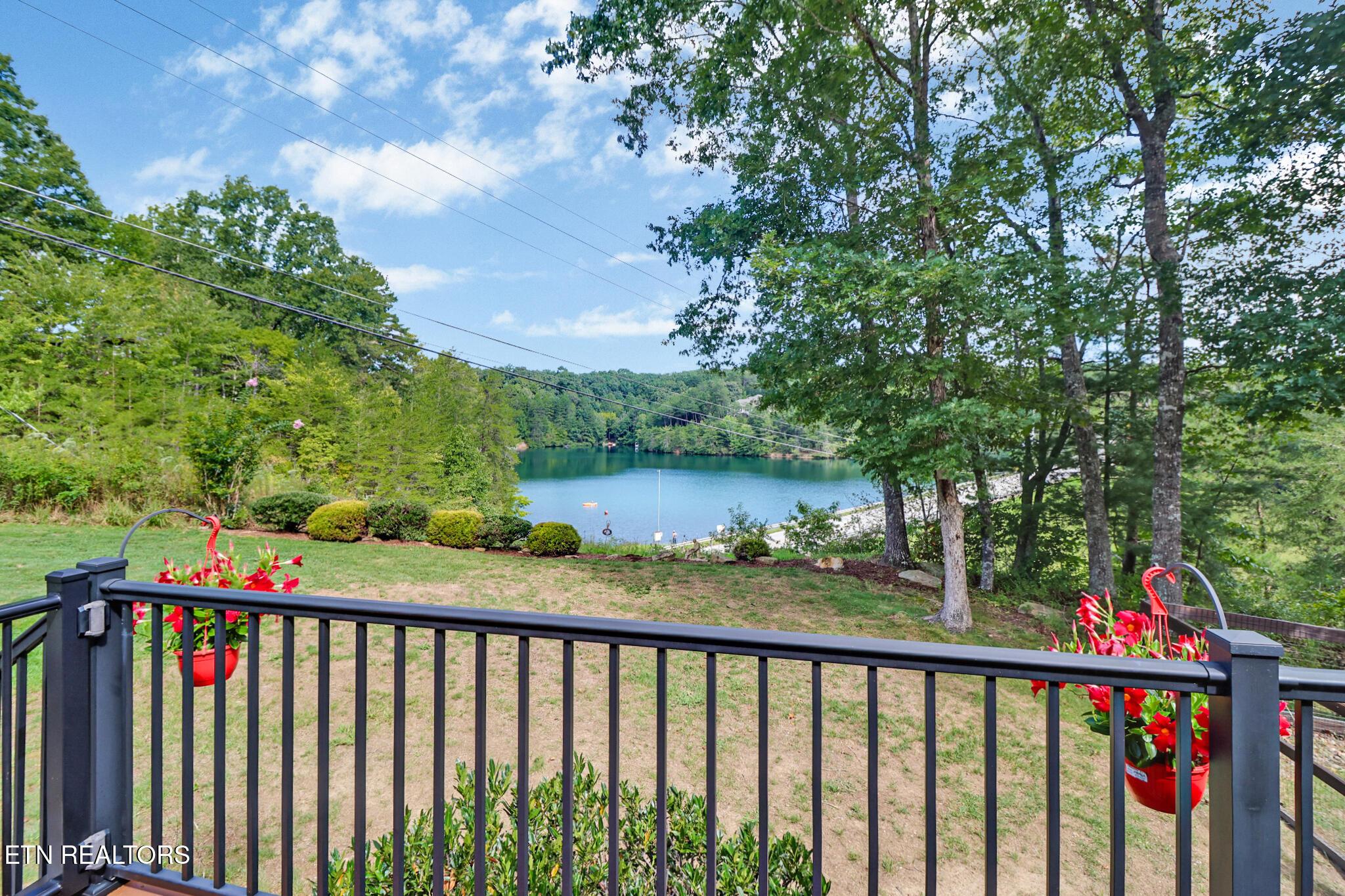 Image 3: View from back deck