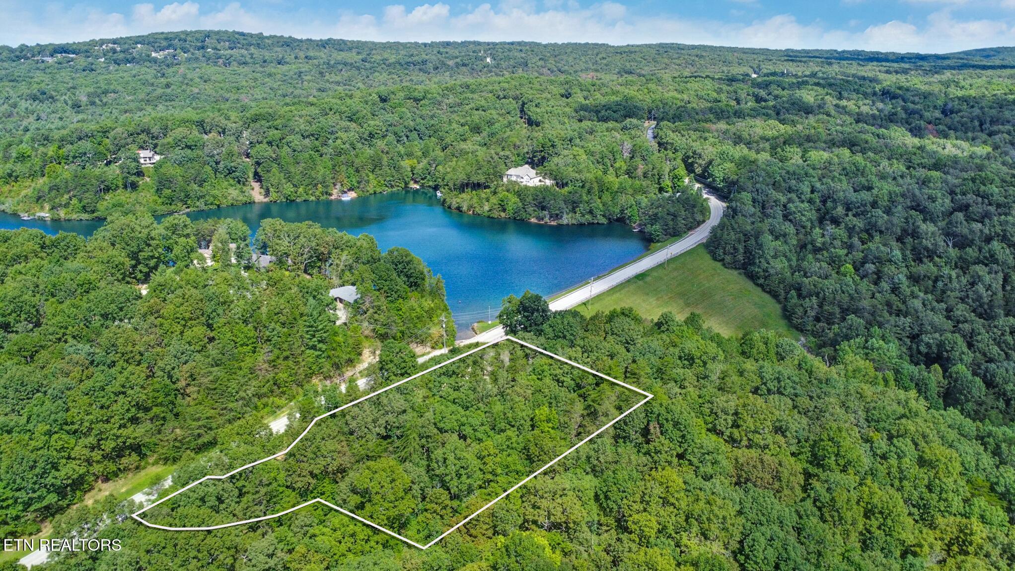 Image 4: Aerial view/property lines